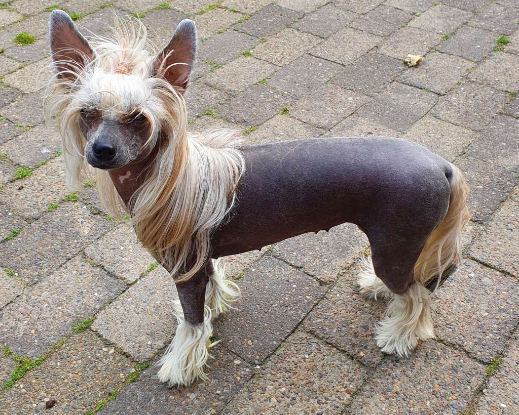 Opium of Springbeauty Winning Smile