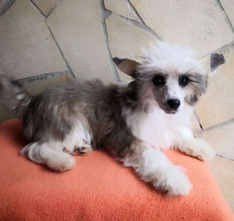 Fundoklia-völgyi Kaszanics Shiona