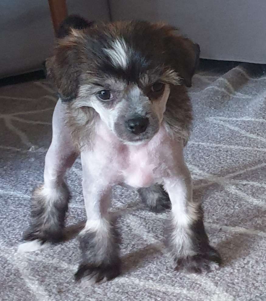 Epadalens Billy's Got A Gun