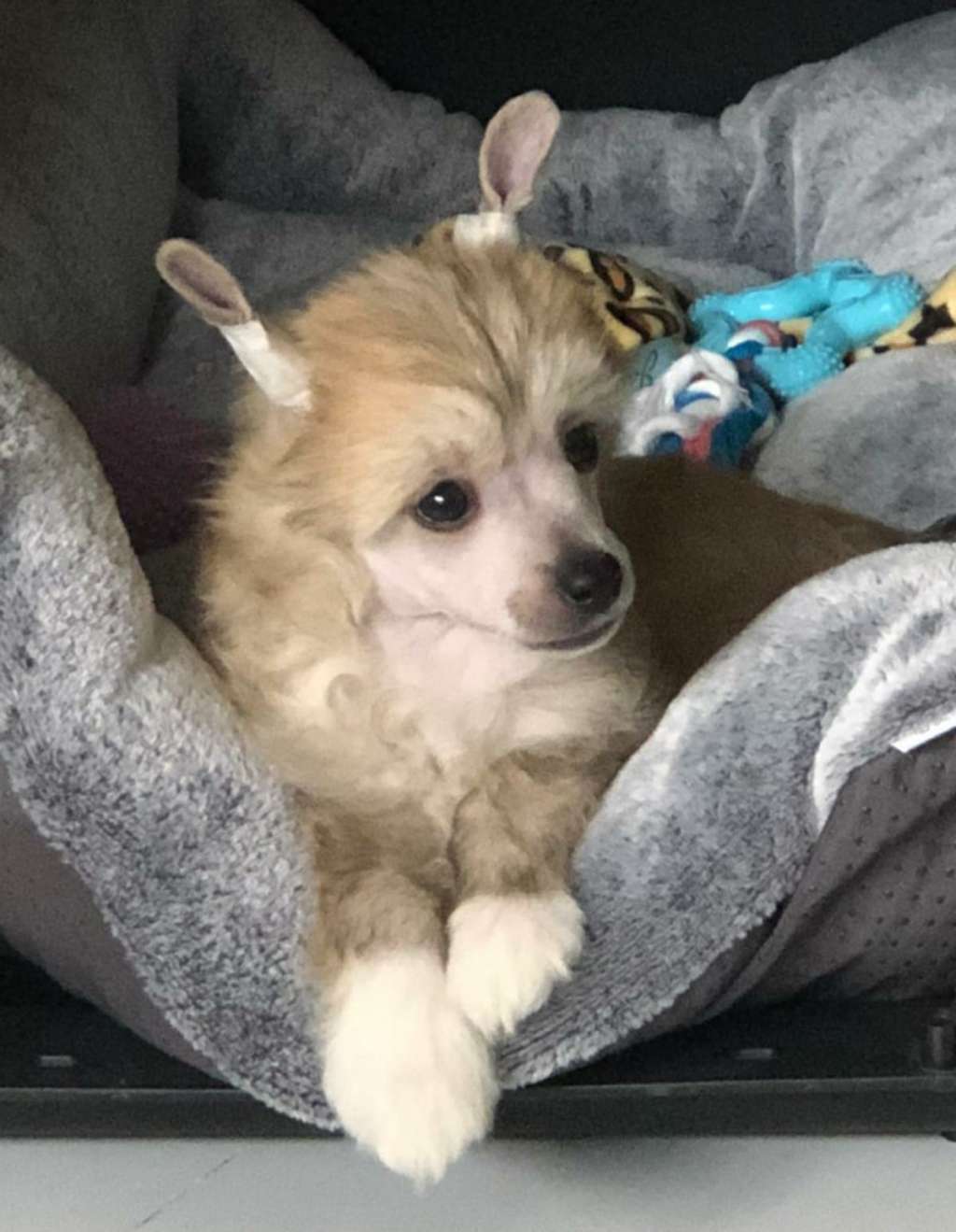 Concrete Clouds Look Alike