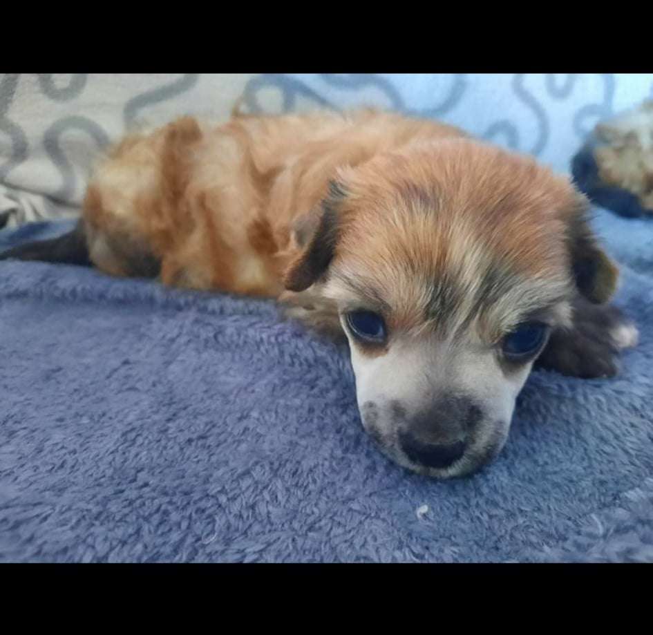 Concrete Clouds Sorry Not Sorry