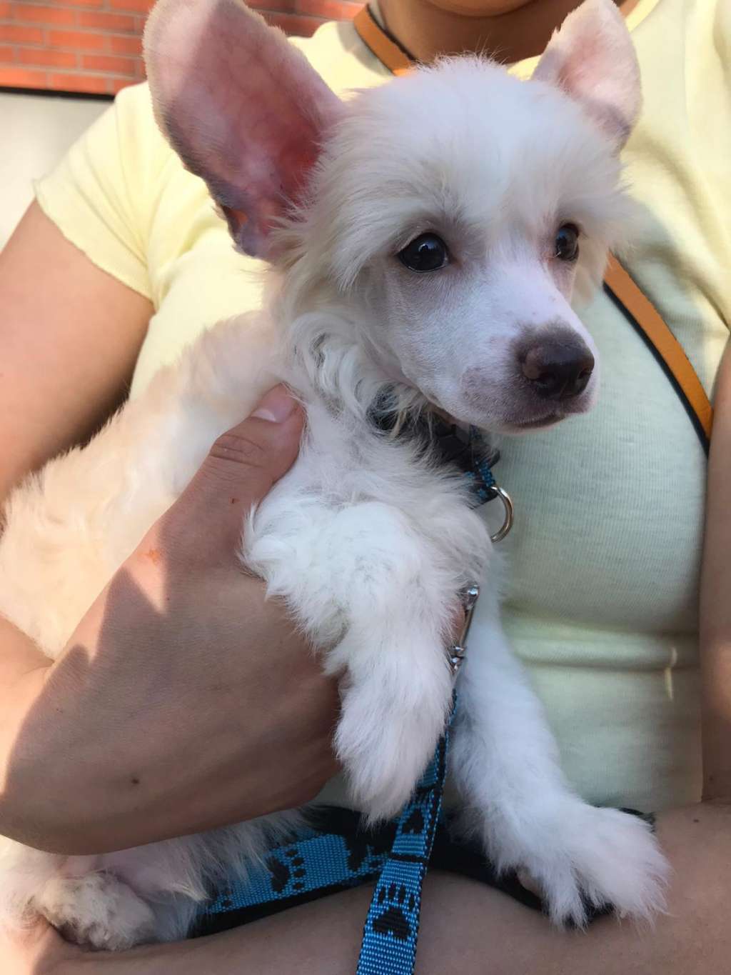 Concrete Clouds Fine Print