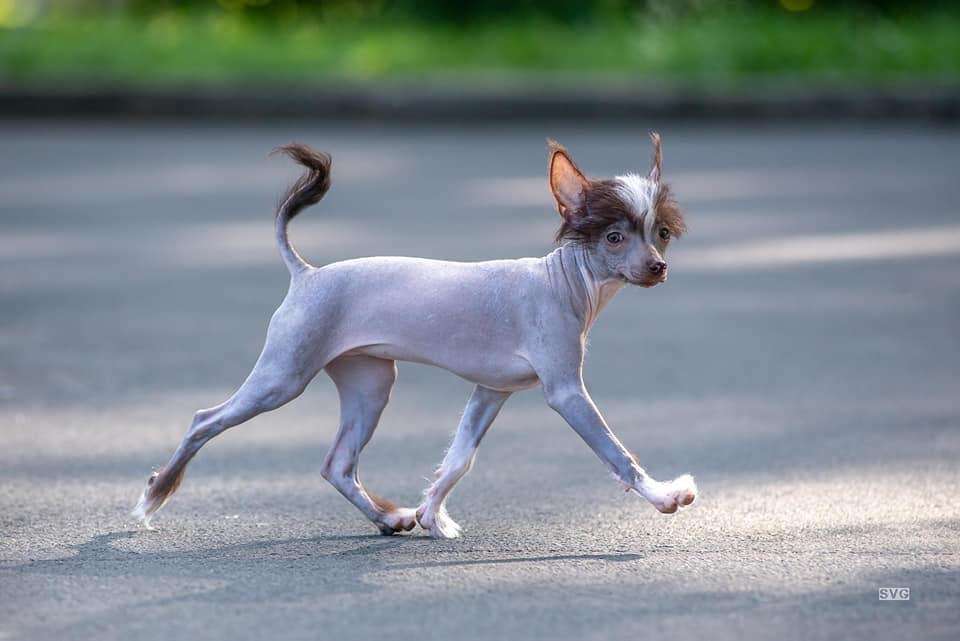 My Lucky Charm Zemfira