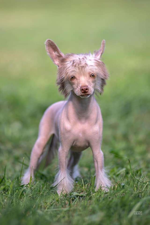 My Lucky Charm Zumba