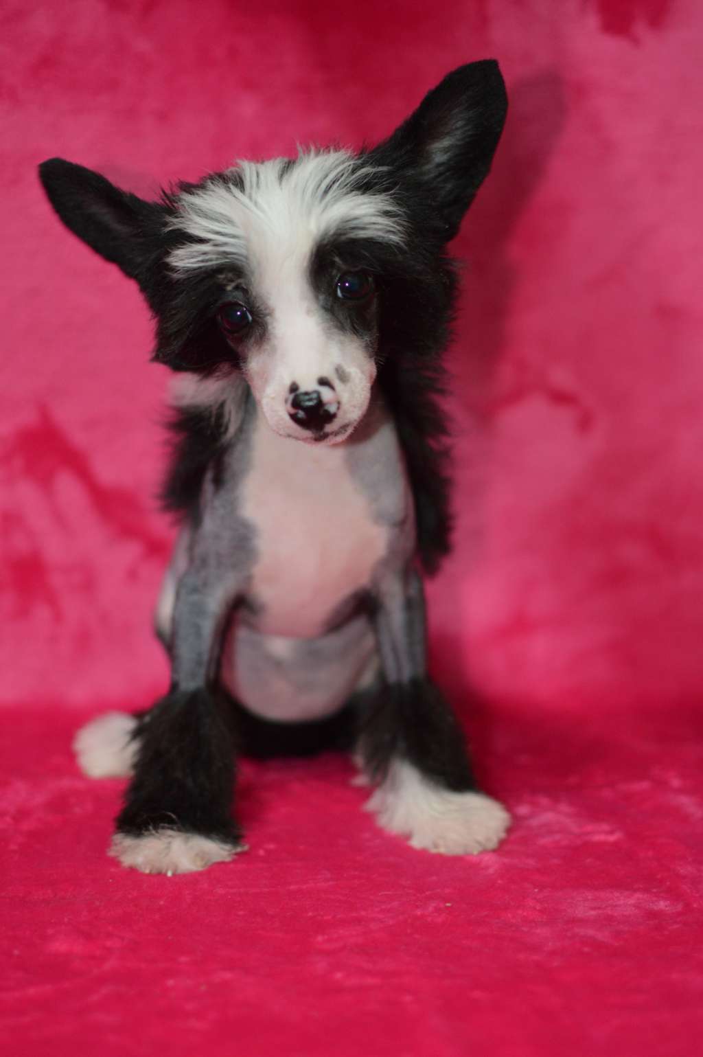 Selena Gomez z Andelovy dlane