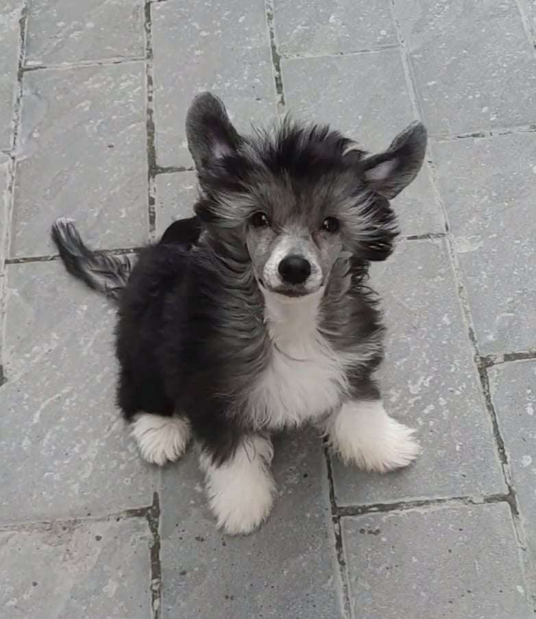 Famrus Pilvinen Päivä For Concrete Clouds