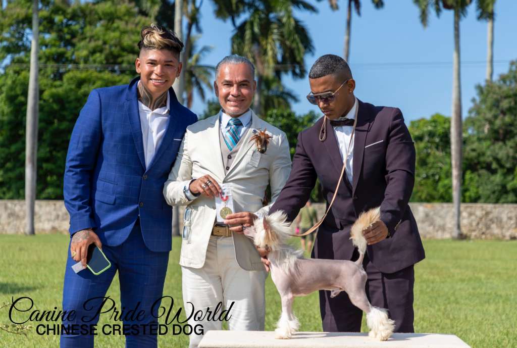 Canine Pride World Mustapha