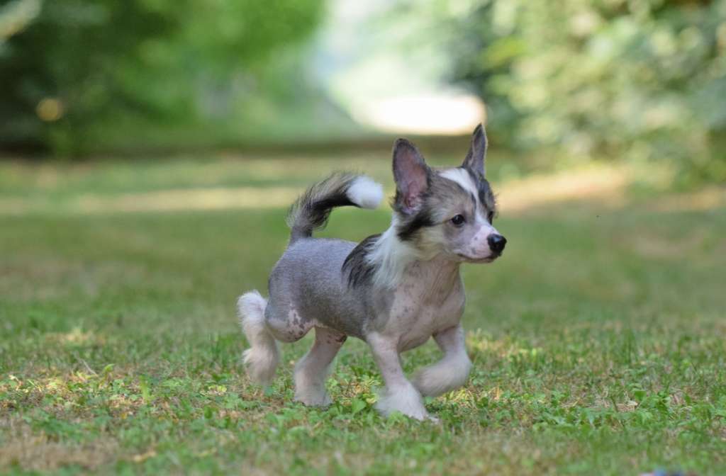 Dakota Rose Prince Philip