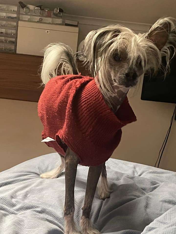 Horácio de Lybóriu's Legacy