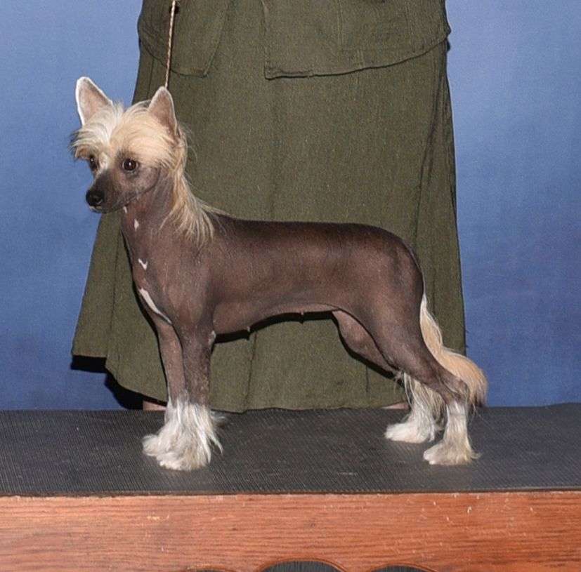 Jilzan N Kaylens Copacabana