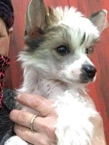 Natural's Teetering On The Edge