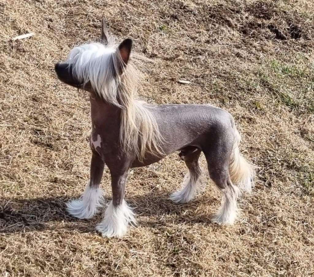 Tournais something To Taco Bout