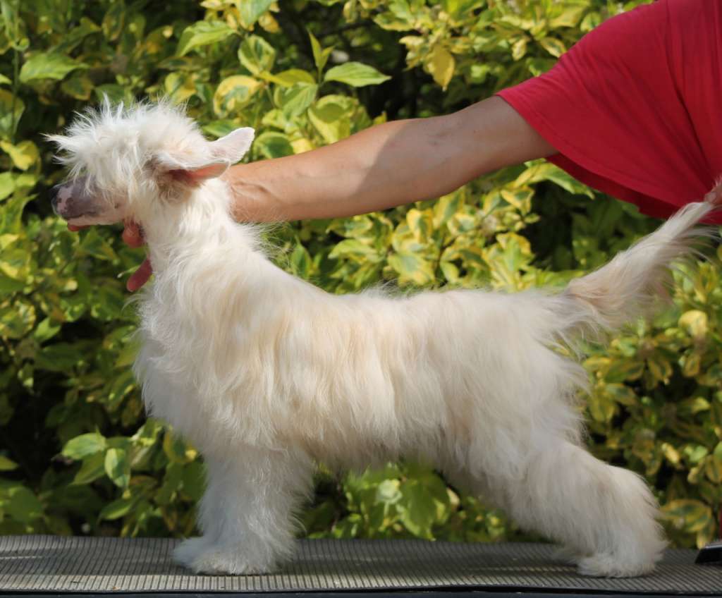 Grand Romantik Nina Ricci