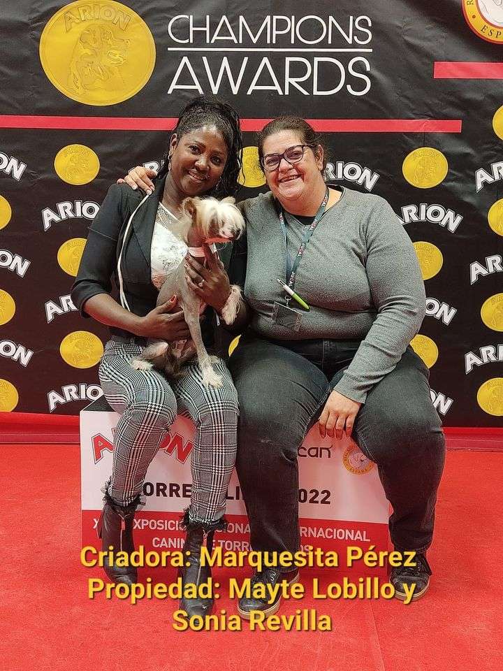 Mustang De Tropic Land