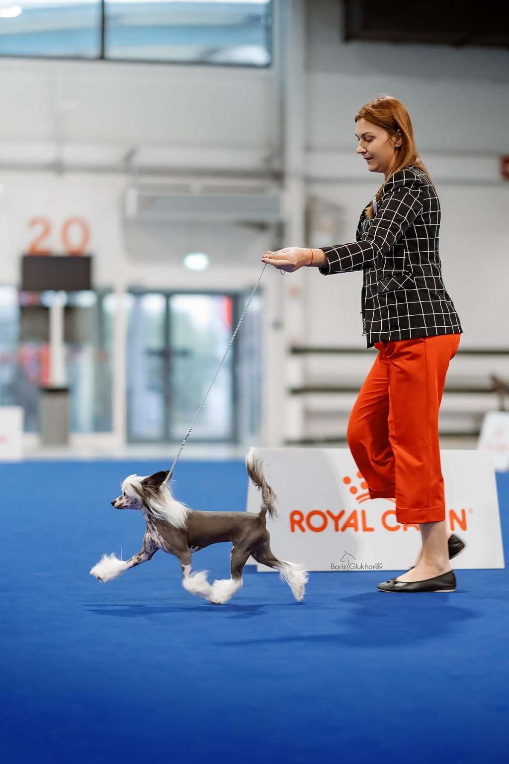 Victory's Laurel Girl From Mars