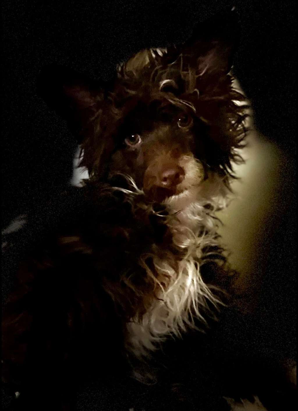 Beauty Incomparable Vegas