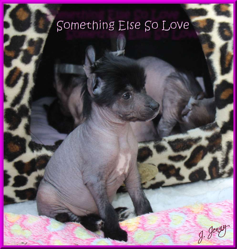 Something Else So Love