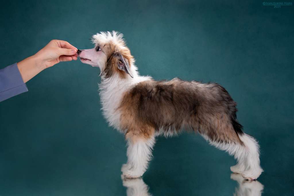 Grand Passage Eventus