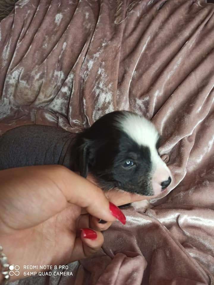 Beauty incomparable Rihanna