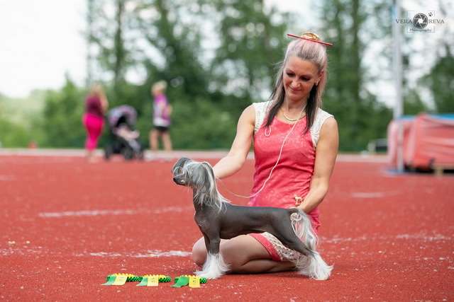 Cladary Triumph Hope Leonella