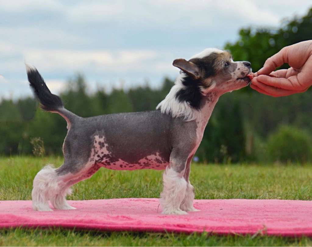 Nomilas New Hot Day In Desert