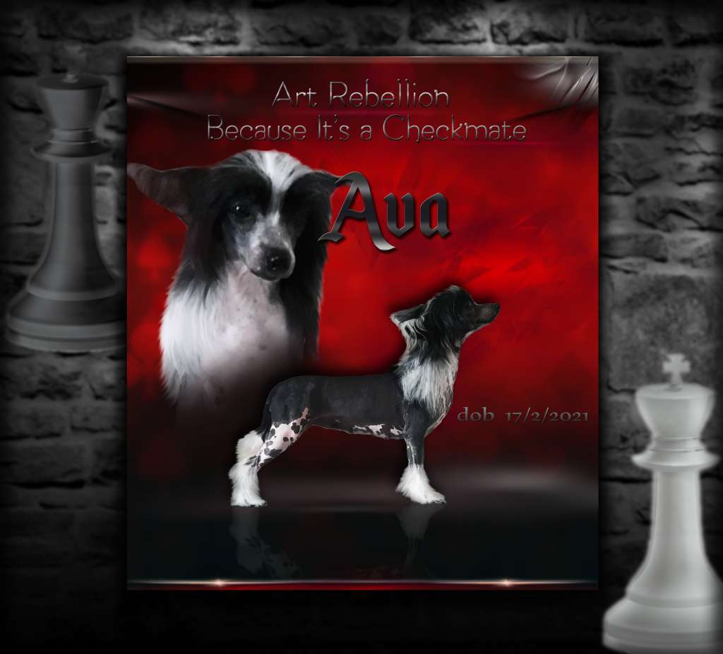 Art Rebellion Because It's a Checkmate