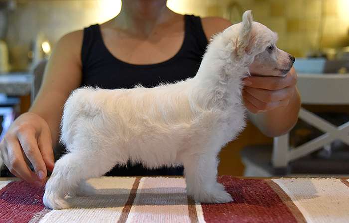 Jean Dark You're Welcome