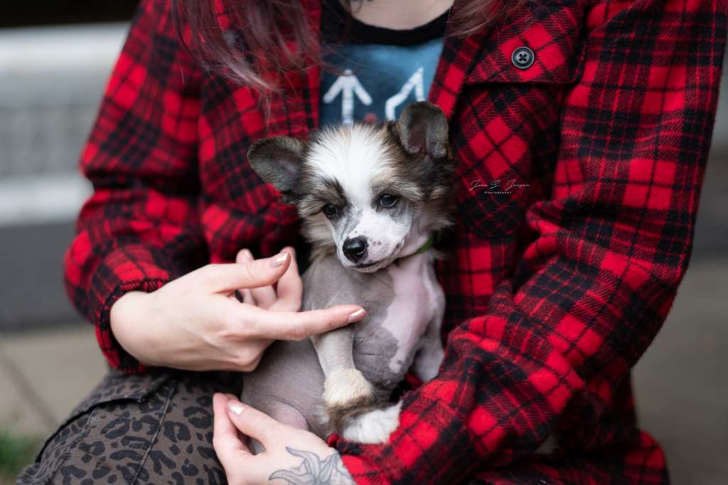 Espresso Dei Guardiani Silani