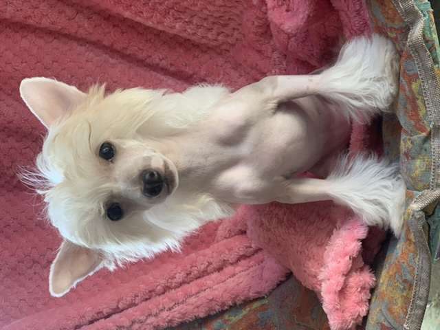 AkDeniz Zoom Zoom Zoom