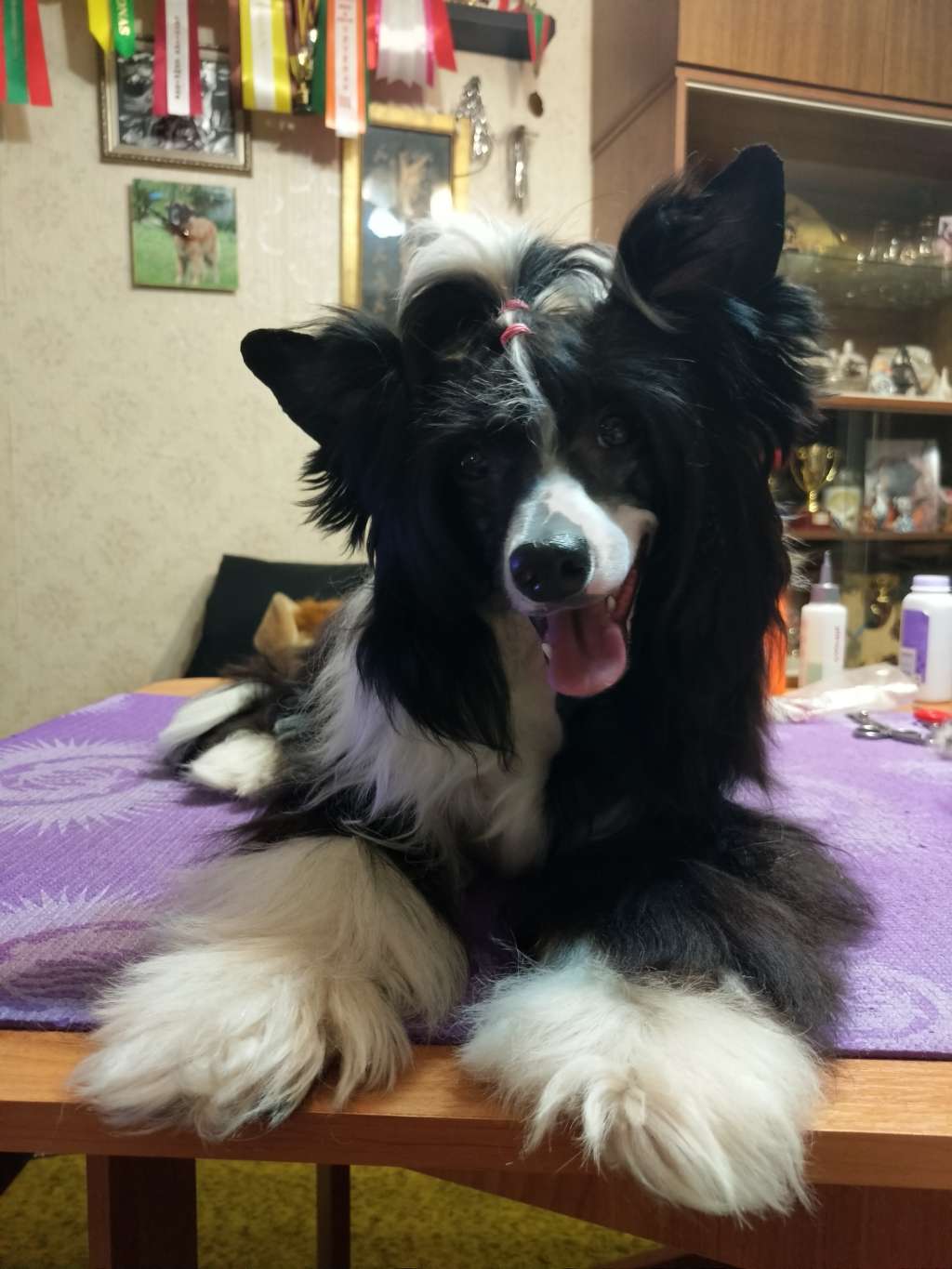 Landkris Kreature Of The Night