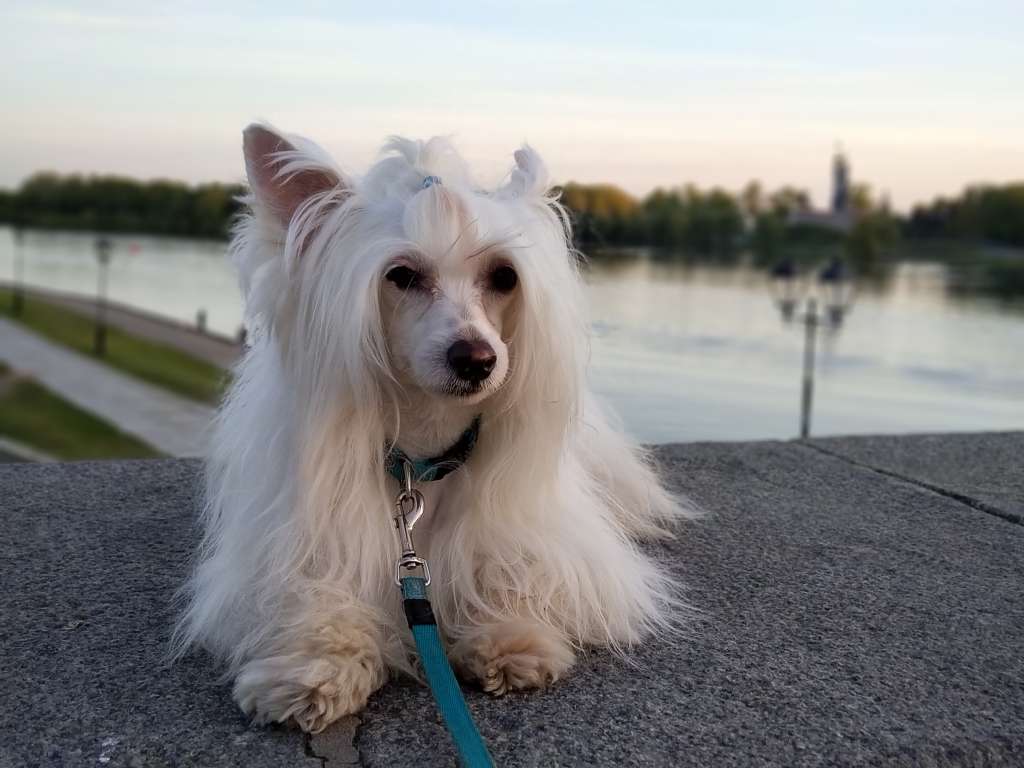 Landkris King Of My Soul