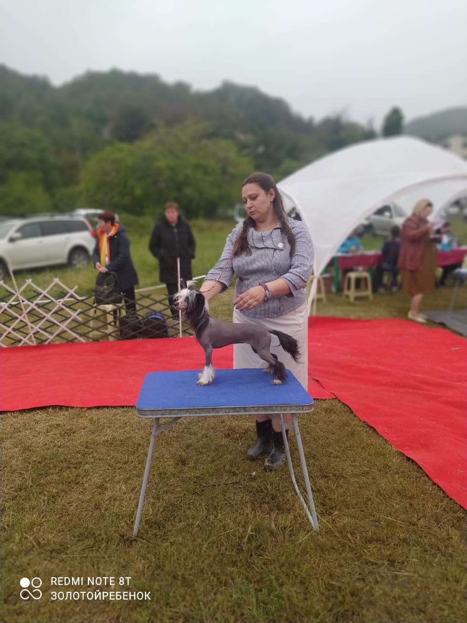 She's The One Iz Ordena Ekate-Riny