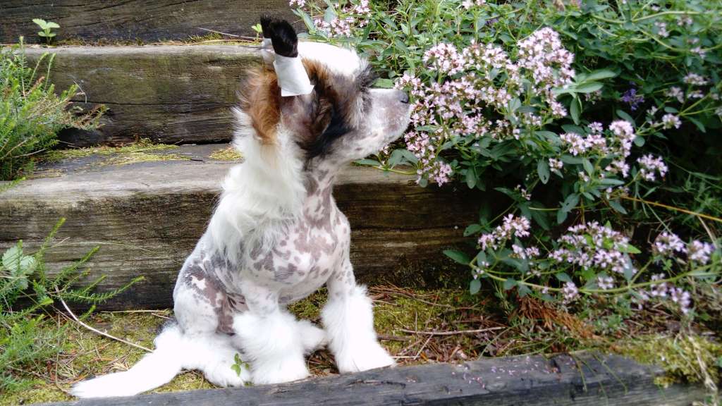 Keep Me Smilling Avokaduh