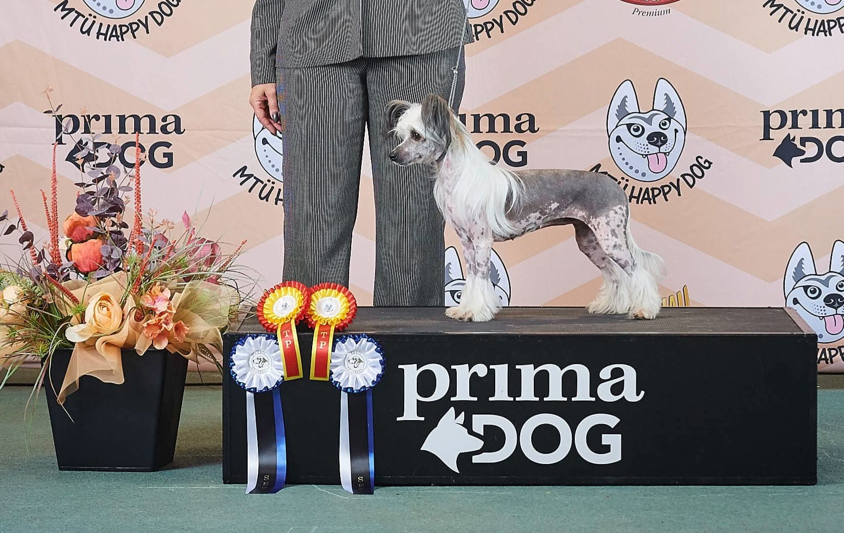 Mamres Just A Sis Thing