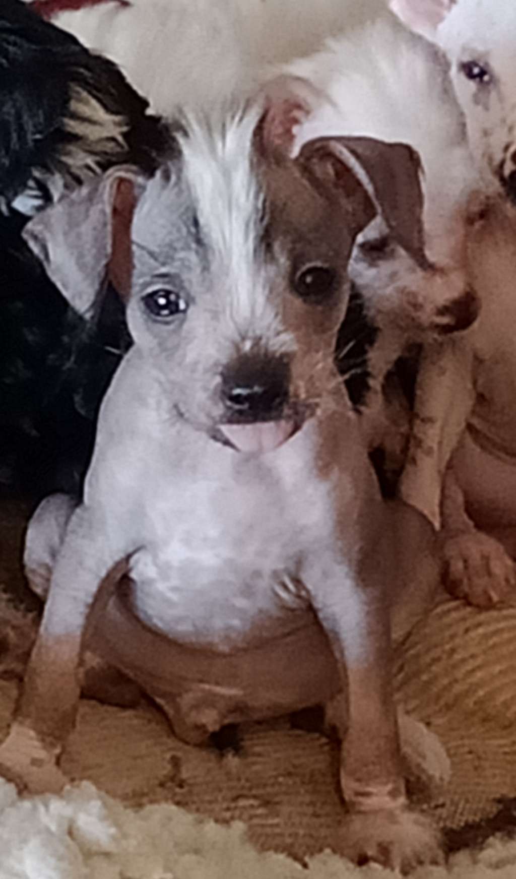 Xioma Watching The Detectives