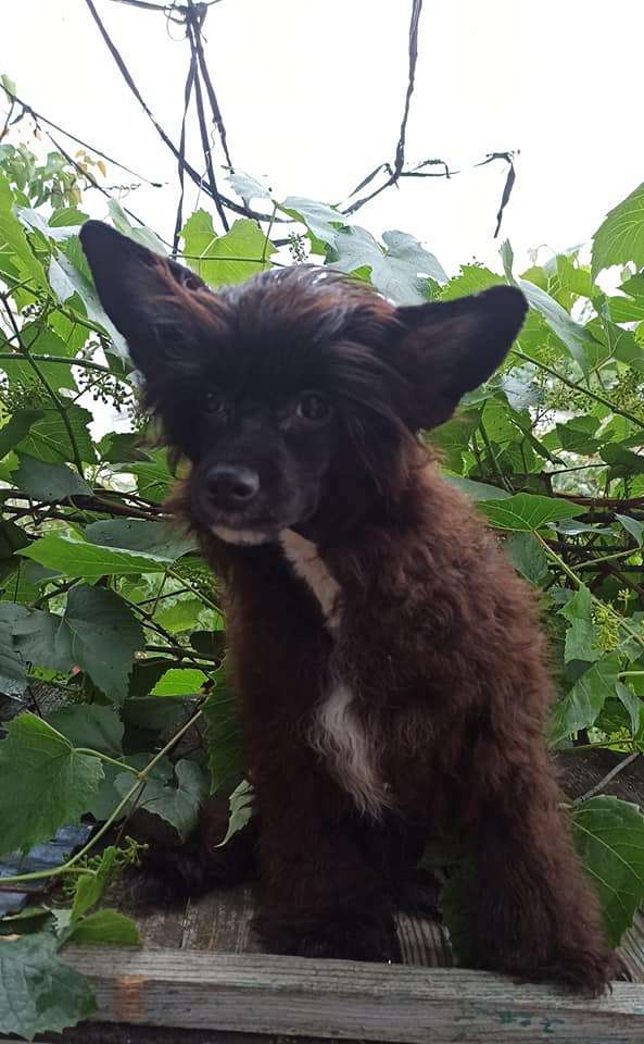 Family Mar'S Nirvana