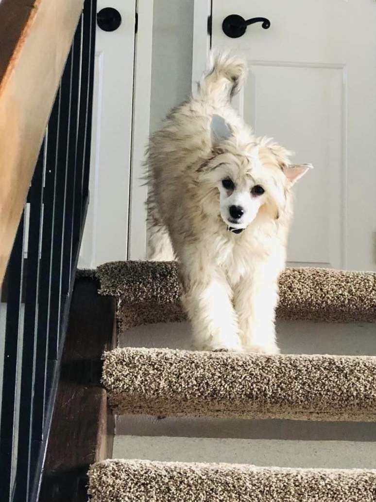 Fancy Smile Gattaca Olyuti