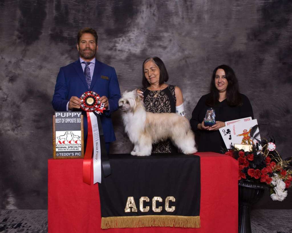 Fancy Ever Gattaca Olyuti for Gentlewind