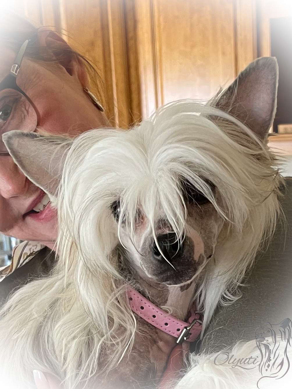 Fancy Fairy Gattaca Olyuti