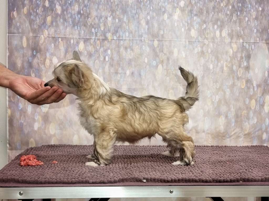 Naked Stars Wake Up Beauty Time To Beast