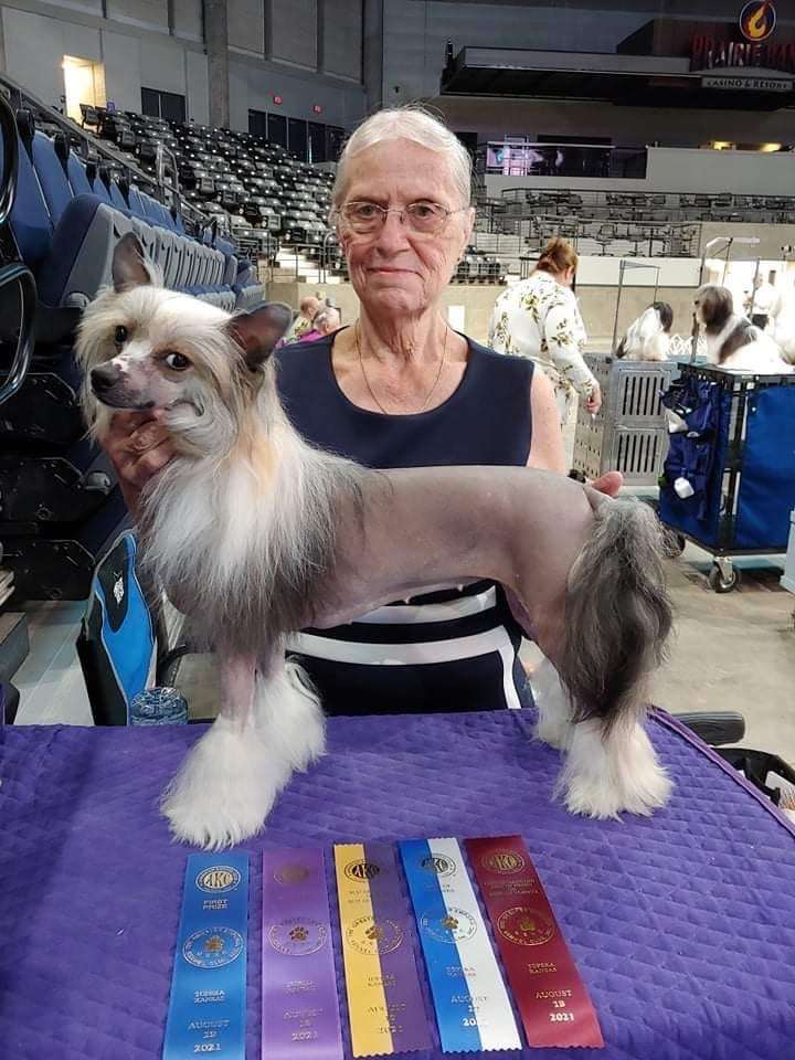 Sondrarose @ Mercedepon Bugatti Chiron