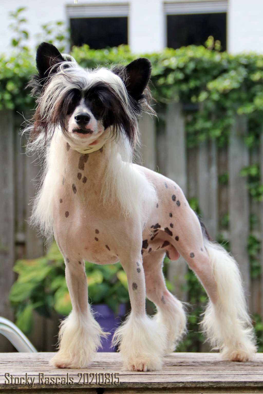 Miniatura Club You Are My Hero