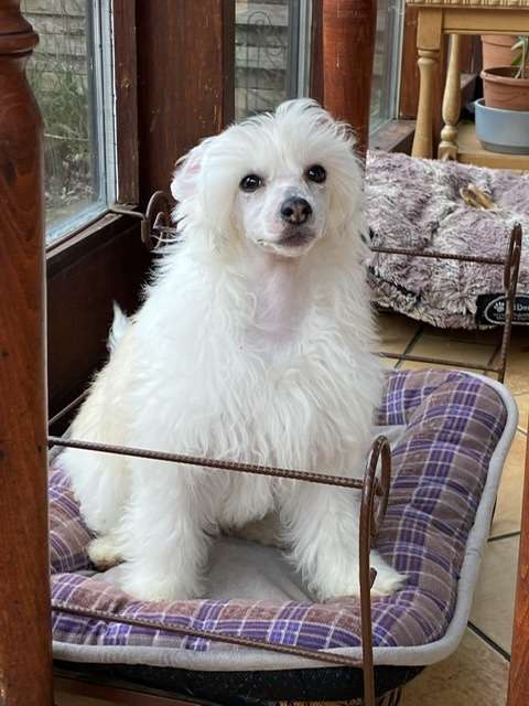 Glam Glow von Shinbashi