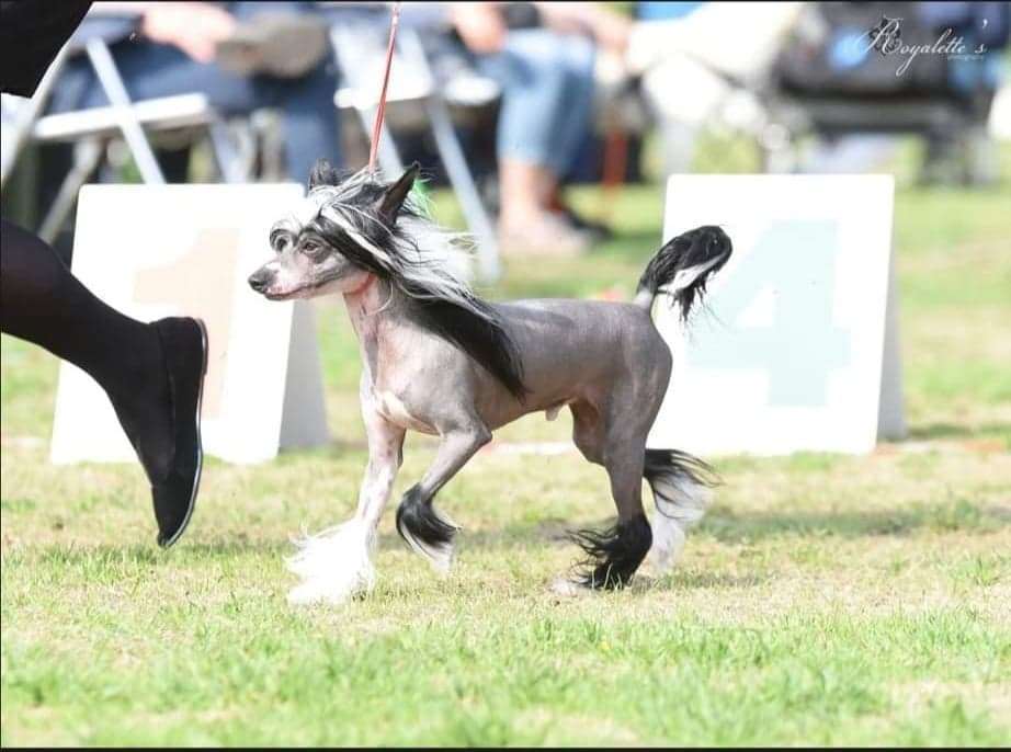 Gazing Clouds Olyuti Gattaca