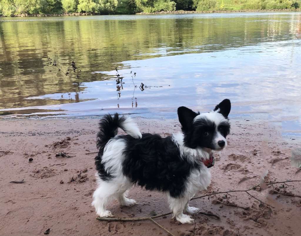 Halali Heritage of Han