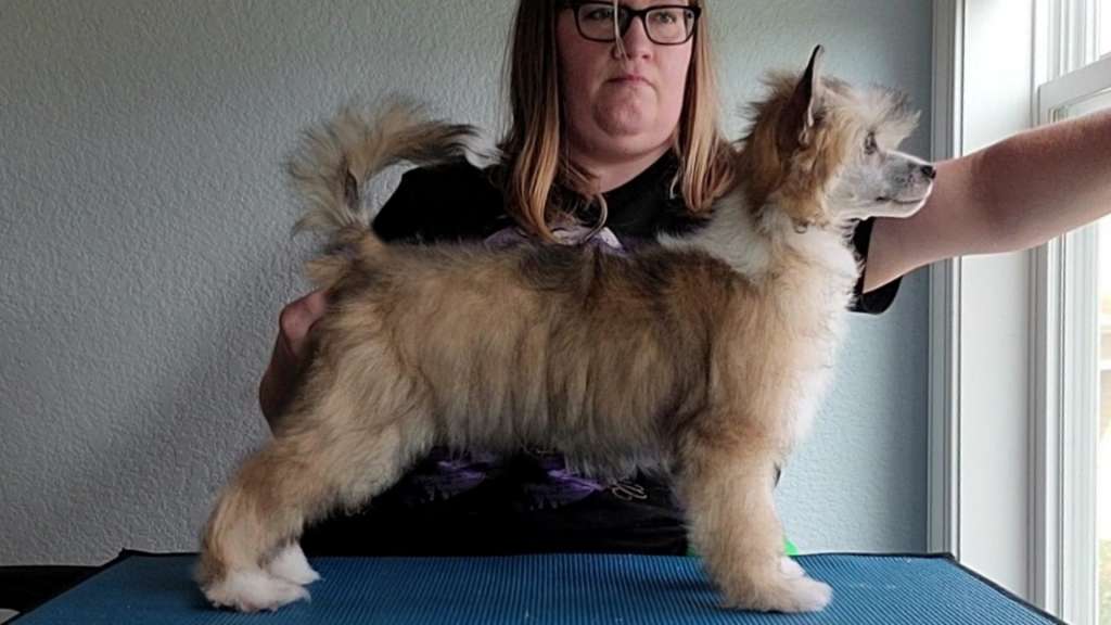 Hpnotik n Kellyn's Thirst Trap