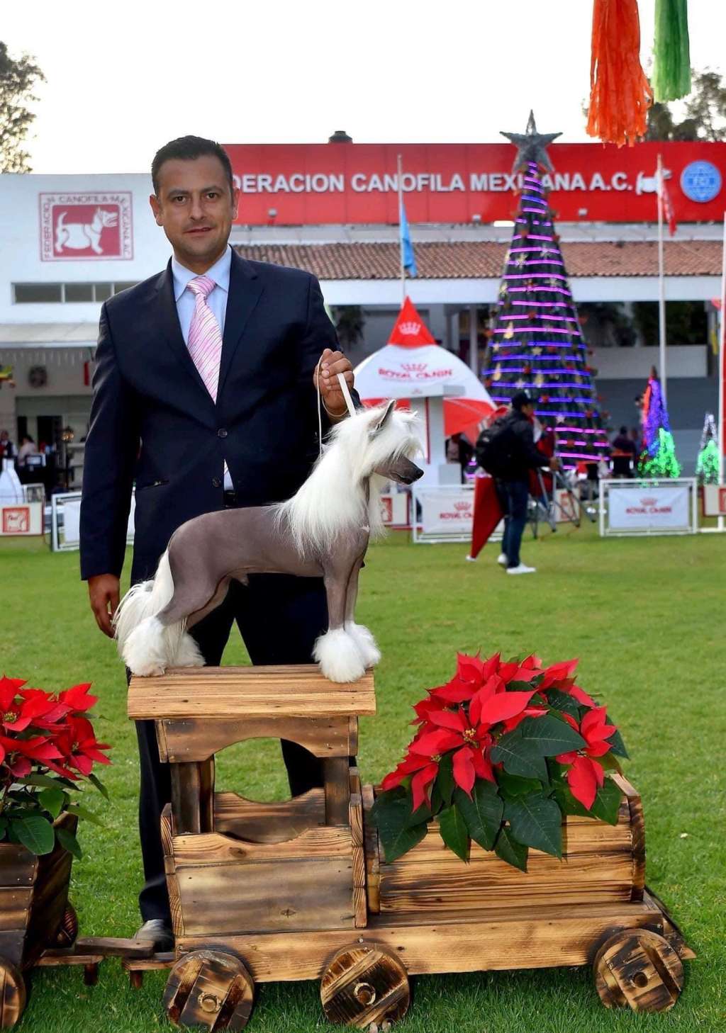 Enzo Ethereal Dream (Cantarell/De la Garza) *