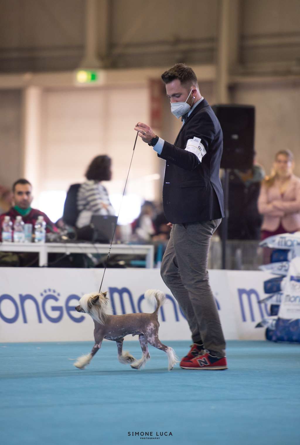 Jr. Ch. Dakota Rose Leonardo Da Vinci