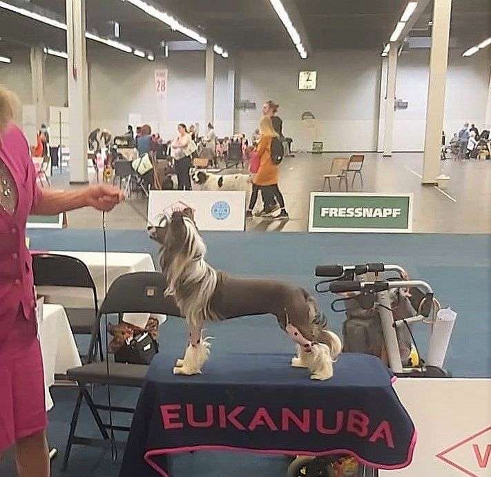 Be My Dog's Dream A Lil Bit