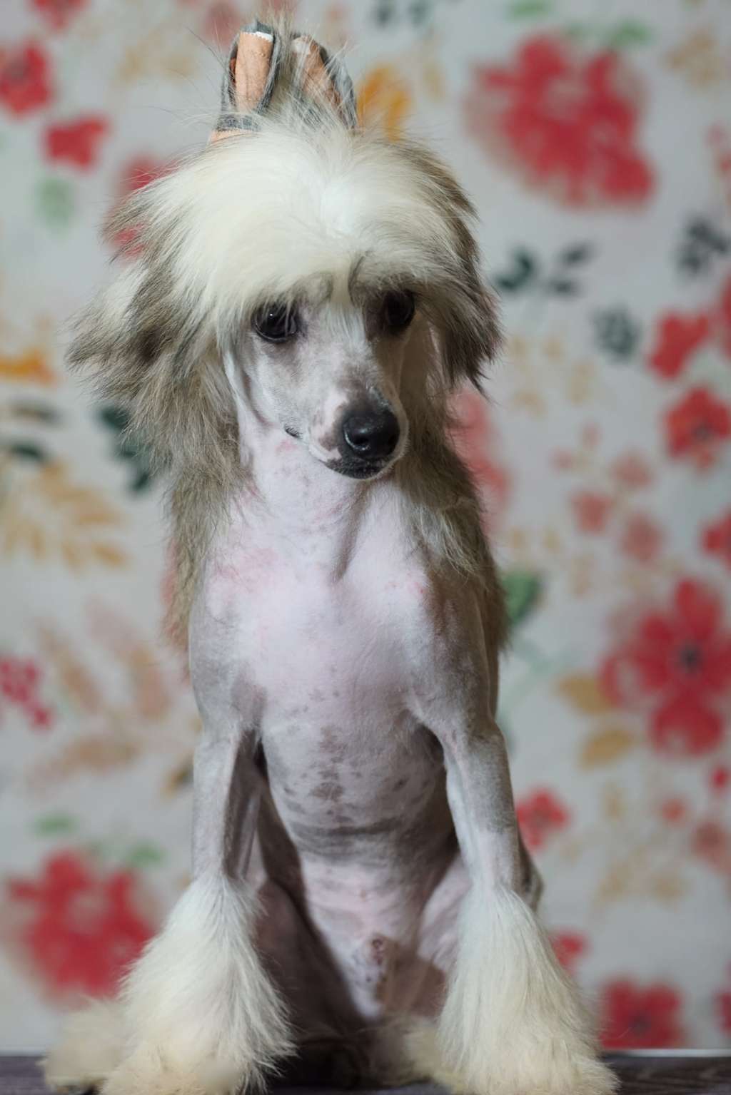 Twist Of Fate Heybett